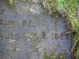 image of grave number 856455